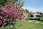 Hotel Al Pini