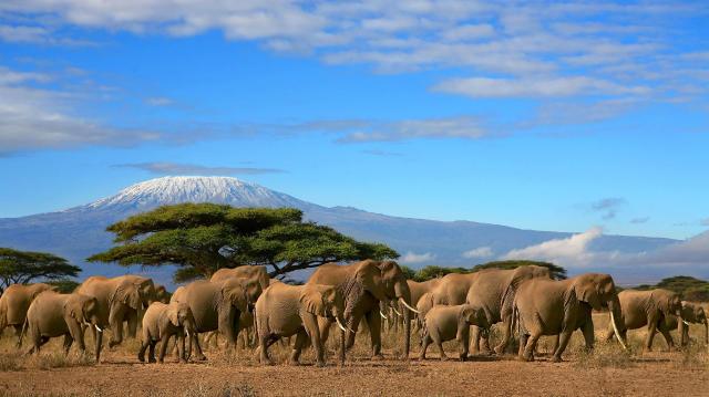 Safari Keňa - Tanzánia - to najlepšie z východnej Afriky