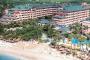 Coral Costa Caribe