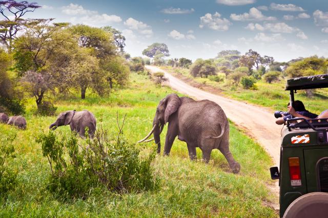 Safari Keňa - Tanzánia - Zanzibar
