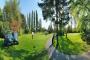 golf___36576_130087_158478.jpg