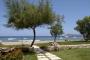 Silver Beach