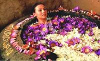 Siddhalepa Ayurveda Health