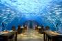 Ithaa undersea restaurant_143331.jpg