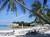 Samui Paradise Beach