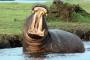 Zimbabwe, Zambia, Malawi, Tanzánia 