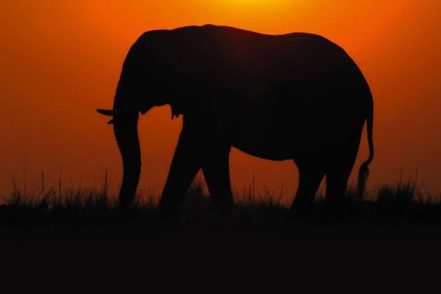 Safari Tri krajiny Afriky - safari a pláž