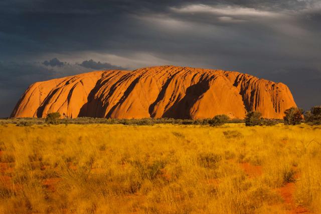 Silvester u protinožcov - Nový Zéland, Austrália
