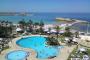 Delphin El Habib