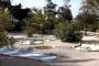 THAPSUS HB (54)