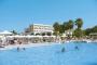 big_picture22