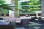big_picture5