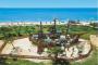 big_picture8