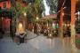 big_picture6