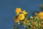 big_picture22