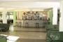 big_picture6