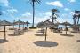 big_picture6