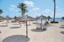 big_picture7