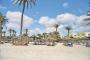 big_picture8