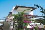 big_picture13