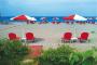 big_picture7