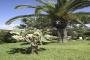 big_picture16