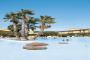 big_picture8