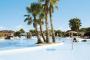 big_picture9