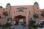big_picture11