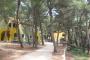 Zelena Punta