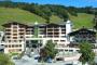 Hotel The Alpine Palace