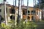 Villaggio Orchidea