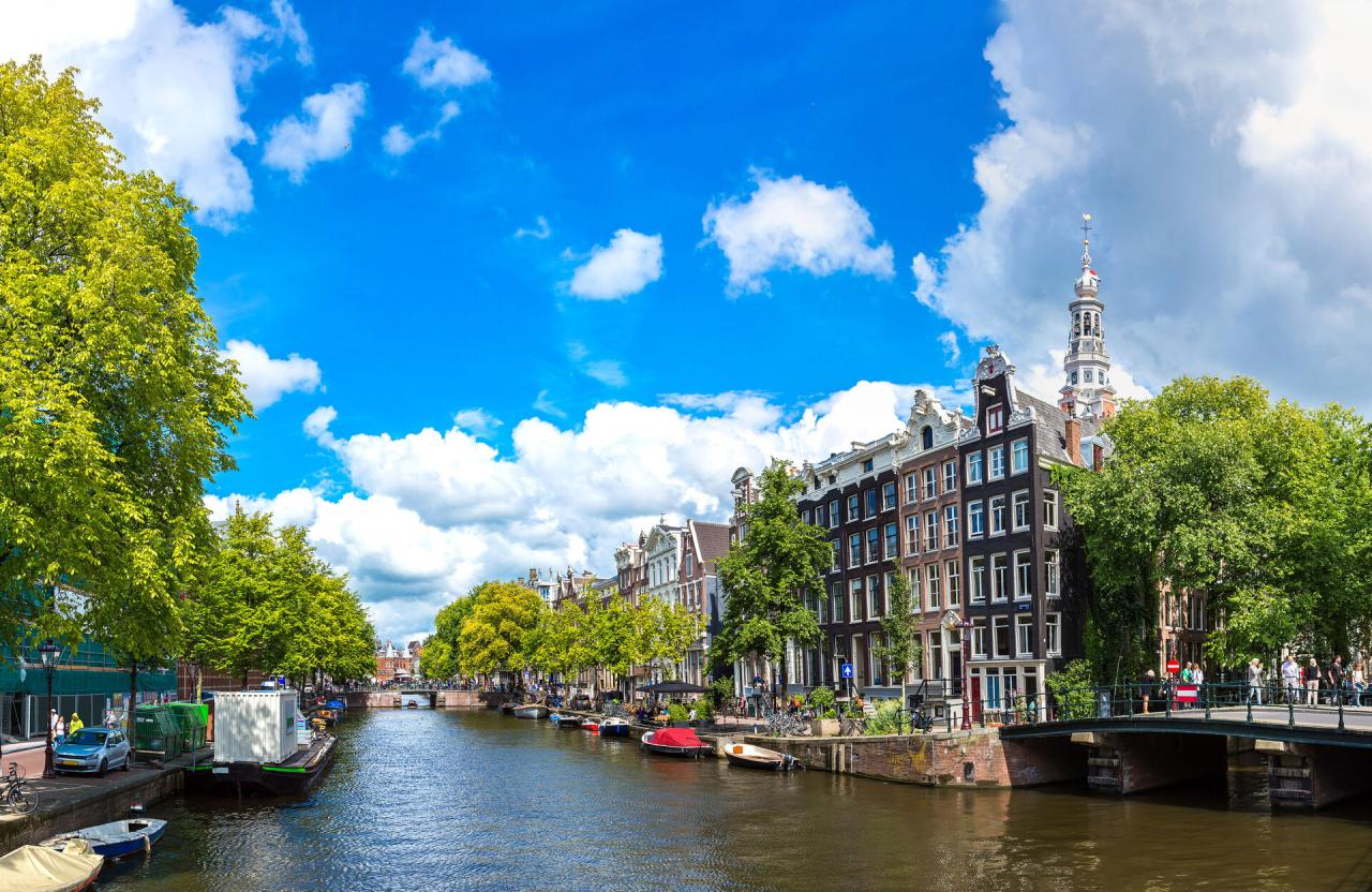 work travel holandsko recenze