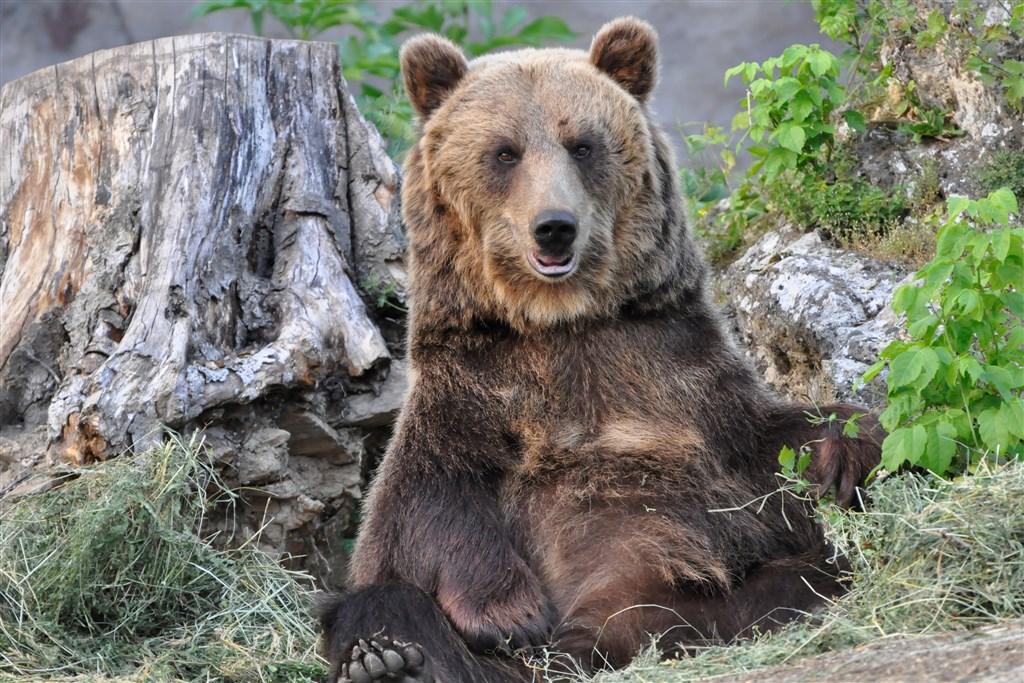 Ama travel | Bojnický zámok a ZOO - Slovensko