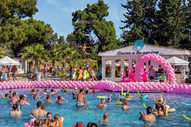 Dosinia Luxury