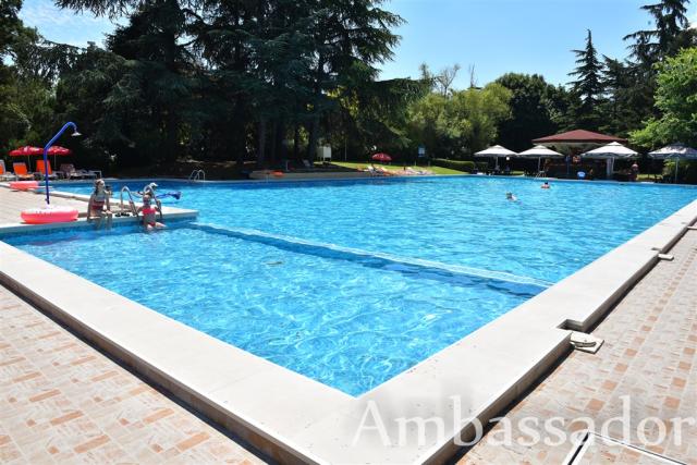 pool3.jpg