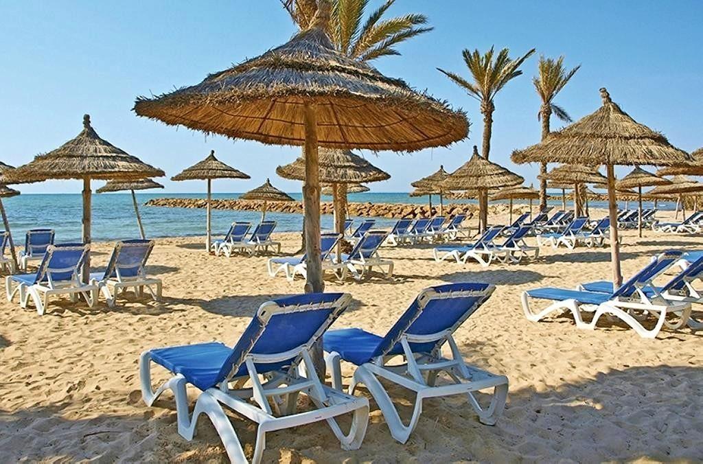 Palm Azur
