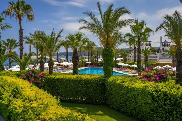 Emelda Sun Club