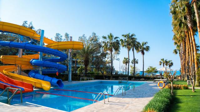 Barut Arum