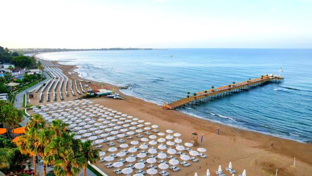 Barut Arum