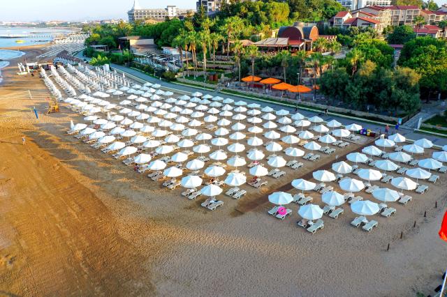 Barut Arum