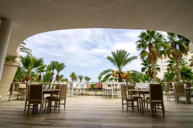 Riadh Palms