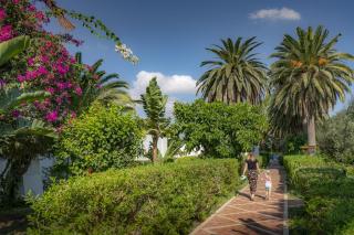 Le Hammamet