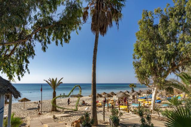 Mediterranne Thalassa