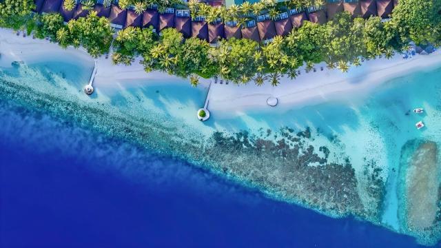 Lily Beach Resort