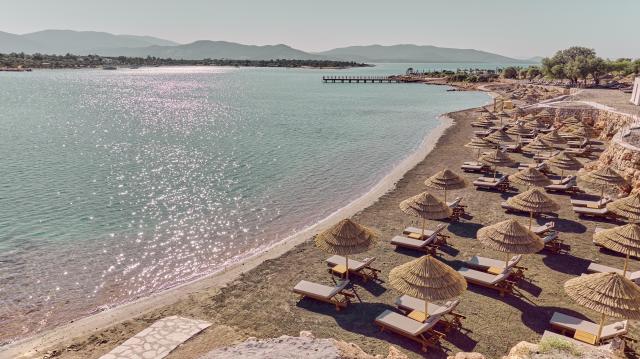 Anda Barut Collection