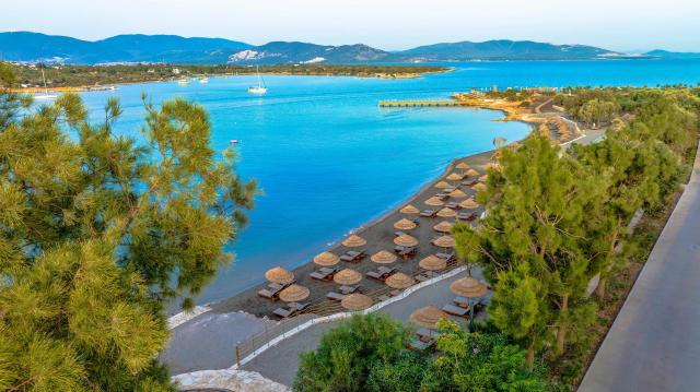 Anda Barut Collection