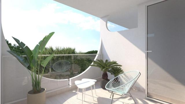 Vibra Palma Cactus