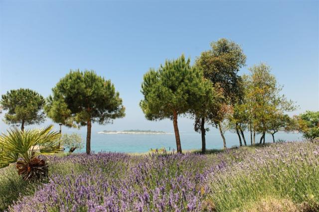 ISLAND Hotel ISTRA, Rovinj