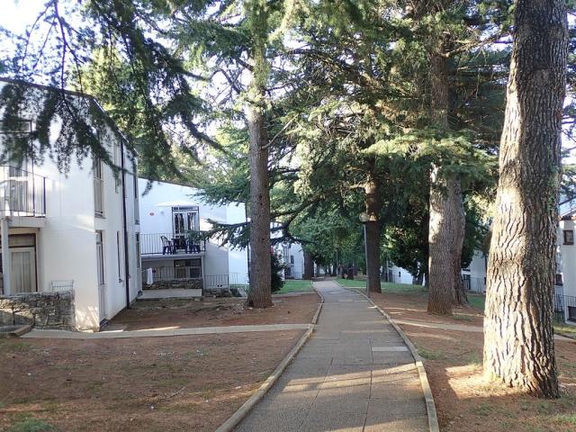 Apartmány ASTRA PLAVA LAGUNA, Chorvátsko - Istria - Poreč, zobr